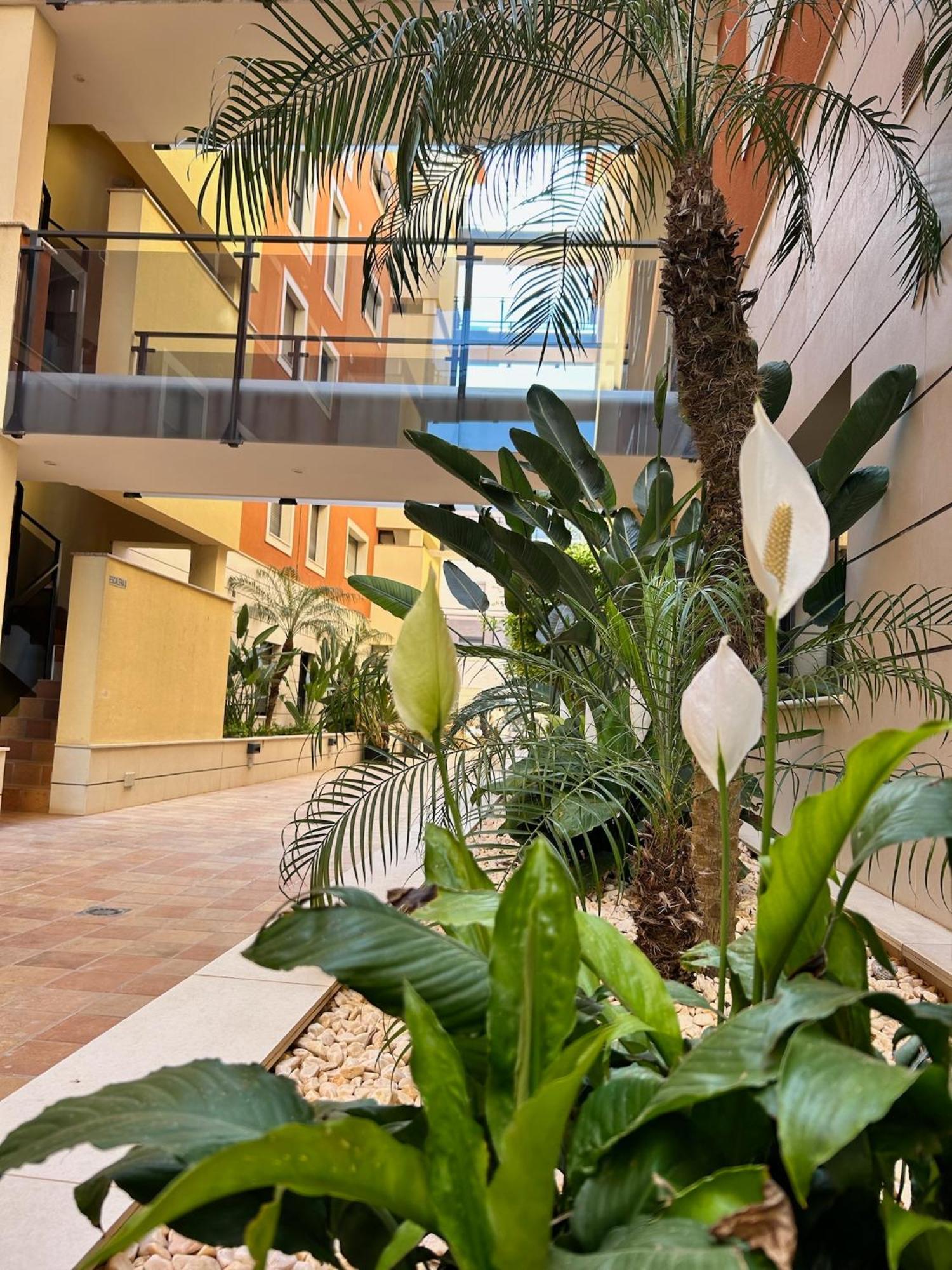 Jardines De 24 Dénia