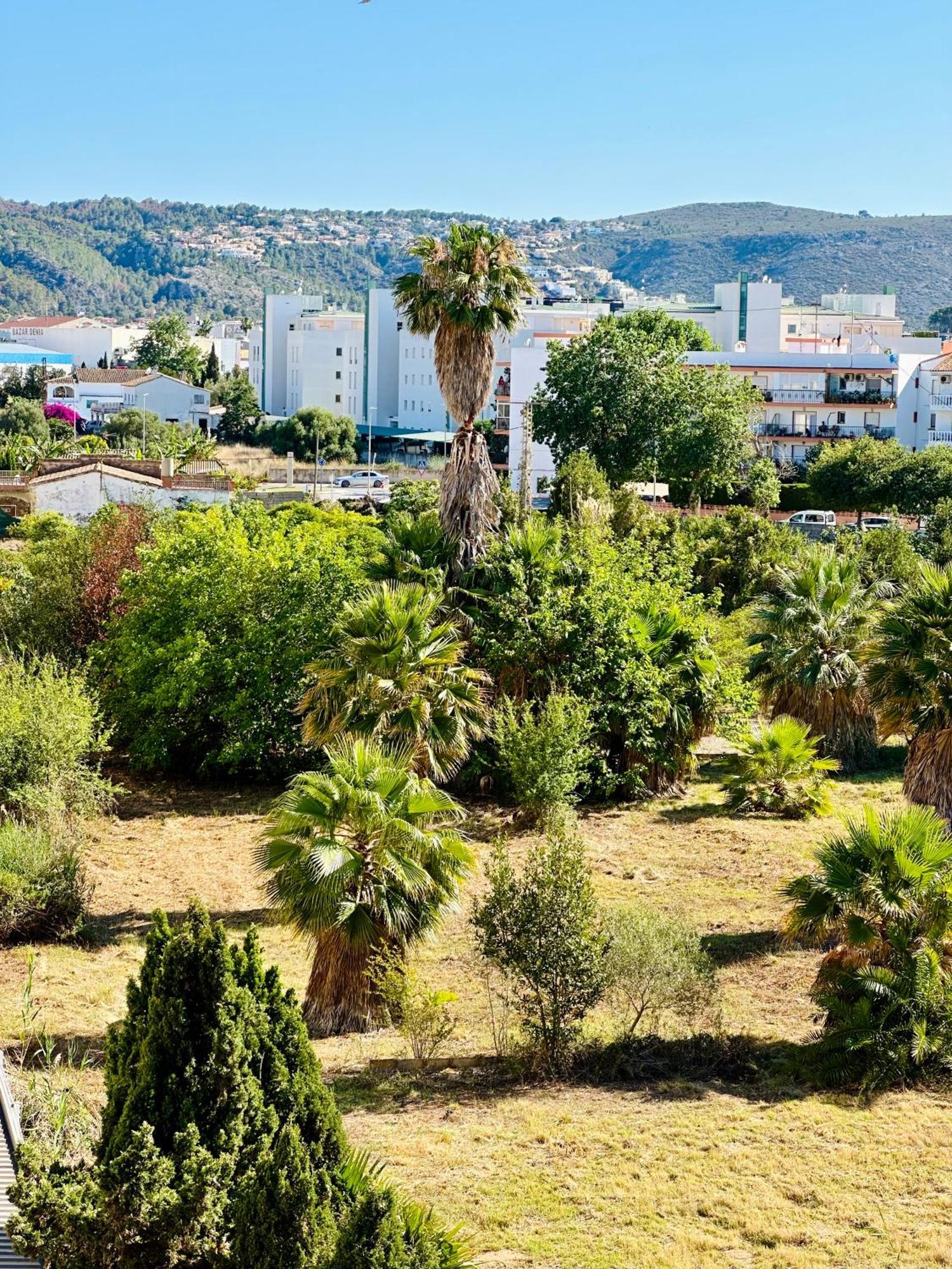Jardines De 24